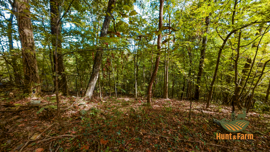 Still 2025-10-30 092500_2.3.1.png